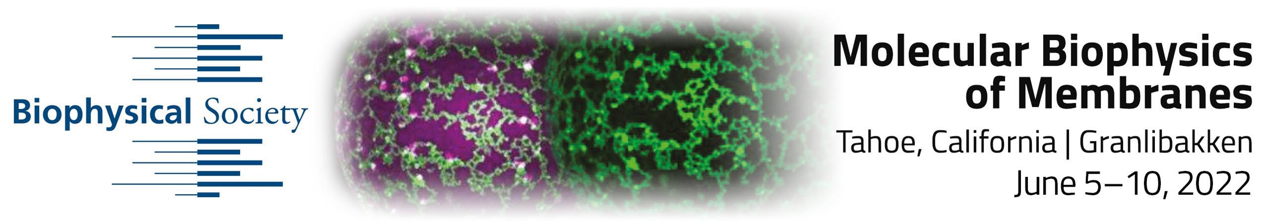 Molecular Biophysics of Membranes Cover Image